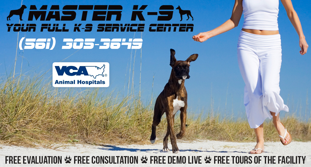 Master K9 Professional Dog Training Boca Raton, FL